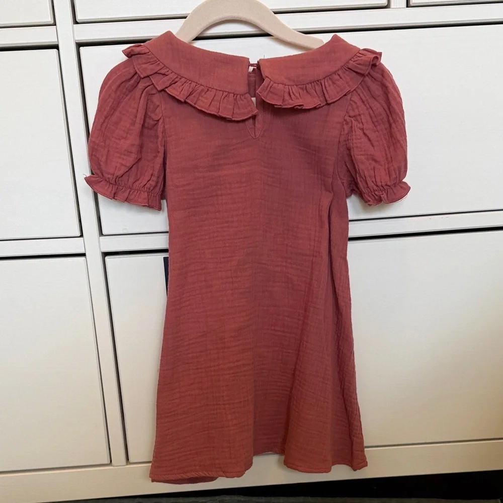 NWT Girls Ruffled Collar Dress in Dusty Rose